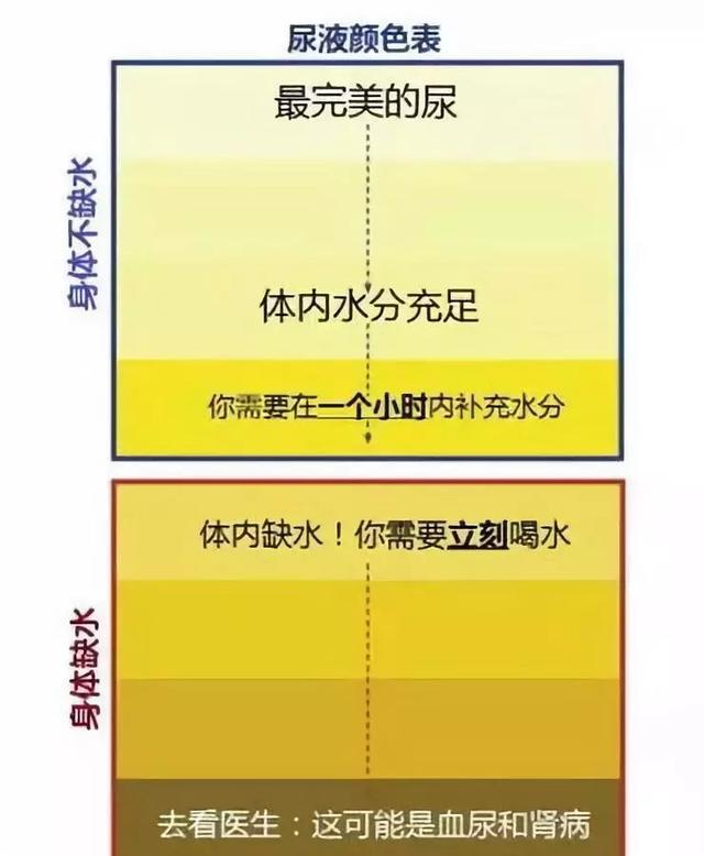 多喝水和少喝水的人，后来会怎样？一张表格告诉你