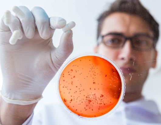 关于超级细菌，真的如此可怕吗？这些知识你一定要知道