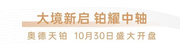 奥德天铂 10月30日盛大开盘