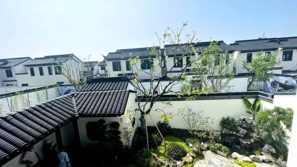 玺月展卷 风雅共赏