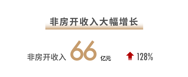 世茂2021半年报