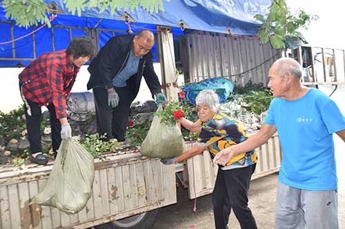 绿满沂蒙花满村3 (2).jpg